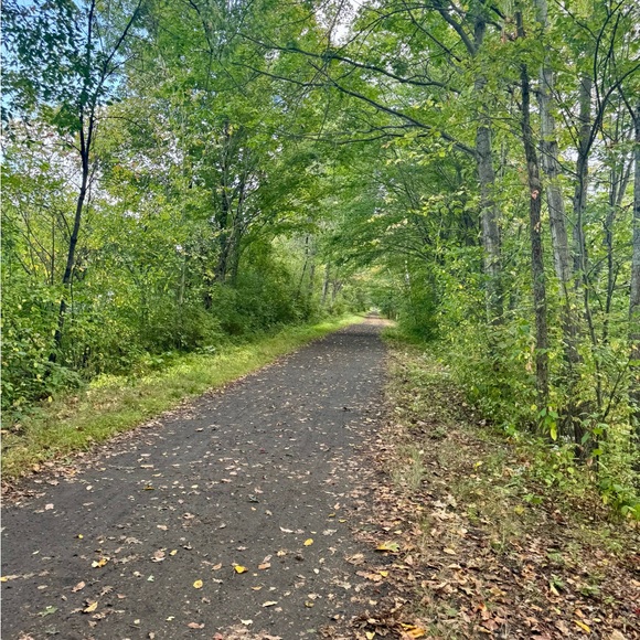 Meet your Posher, Nicole - Picture 1 of 1